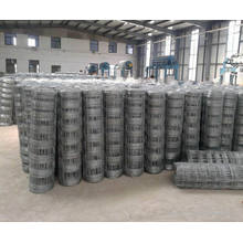 Hot Dipped Galvanized Horse / Sheep Wire, Cheap Cattle / Field Fencing